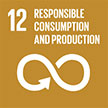 sdg_12_en.jpg